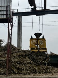 Machine Carry Sugarcane