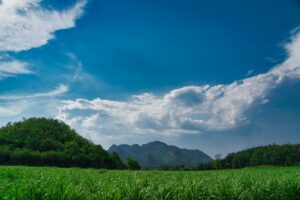 Earth's oxygen