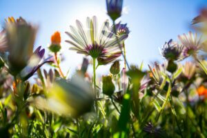 gaston roulstone NDMyliZWcO4 unsplash gaston roulstone NDMyliZWcO4 unsplash