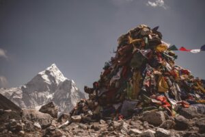 ananya bilimale xdvM7wDXZy4 unsplash