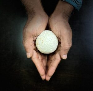 Mycelium can play significant role in the future of the biodegradable materials (photo credit @Naturewrks Technologies Ltd)